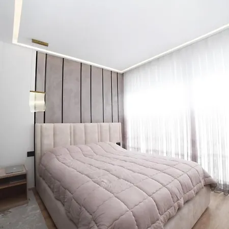 فيلة San Pietro *